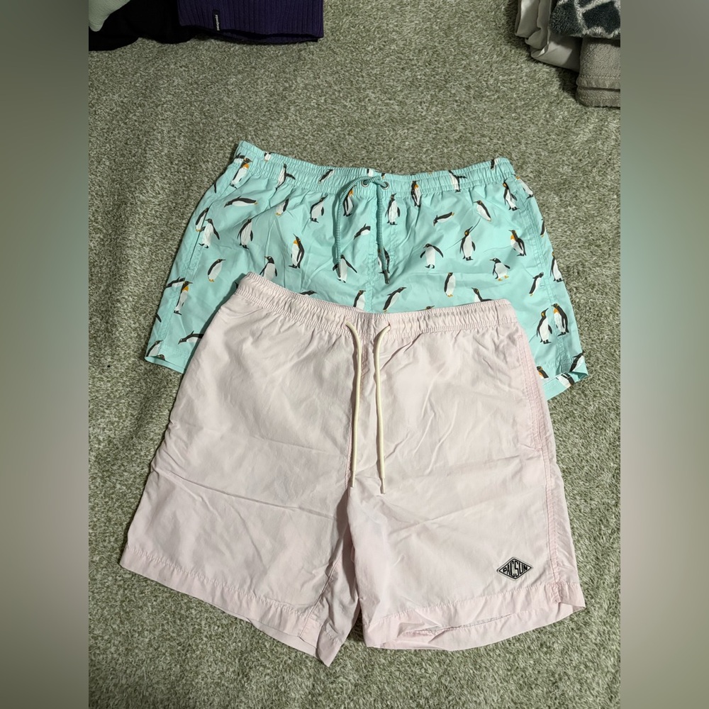 Two swim shorts